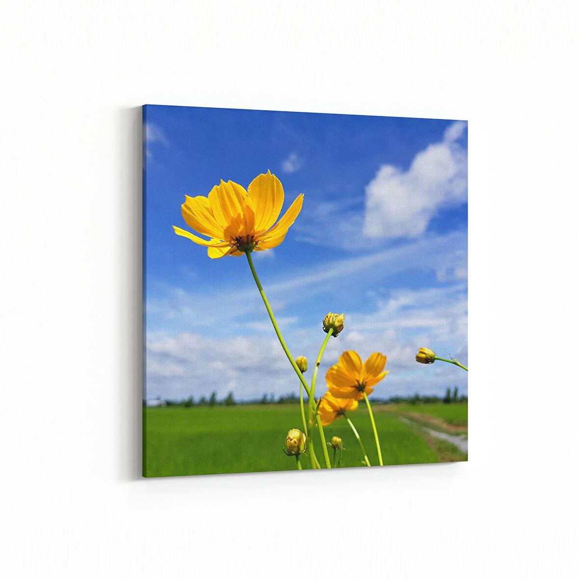 Olla 14392K Doğa / Manzara Görseli Kare Kanvas Tablo (Ölçü: 25X25)