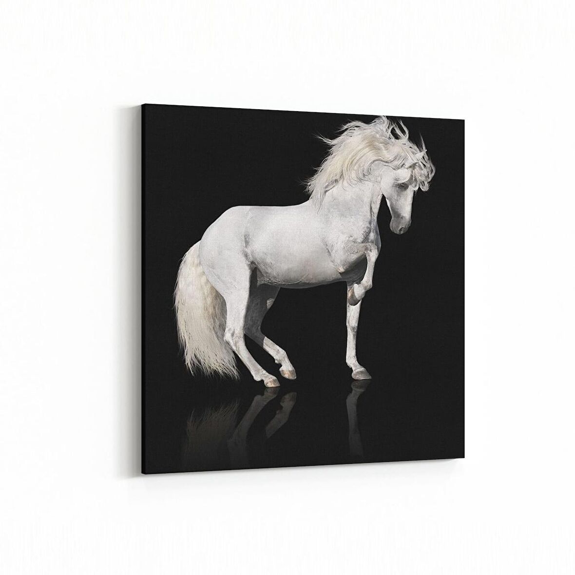 Olla 12672K Hayvanlar Alemi Görseli Kare Kanvas Tablo (Ölçü: 30X30)