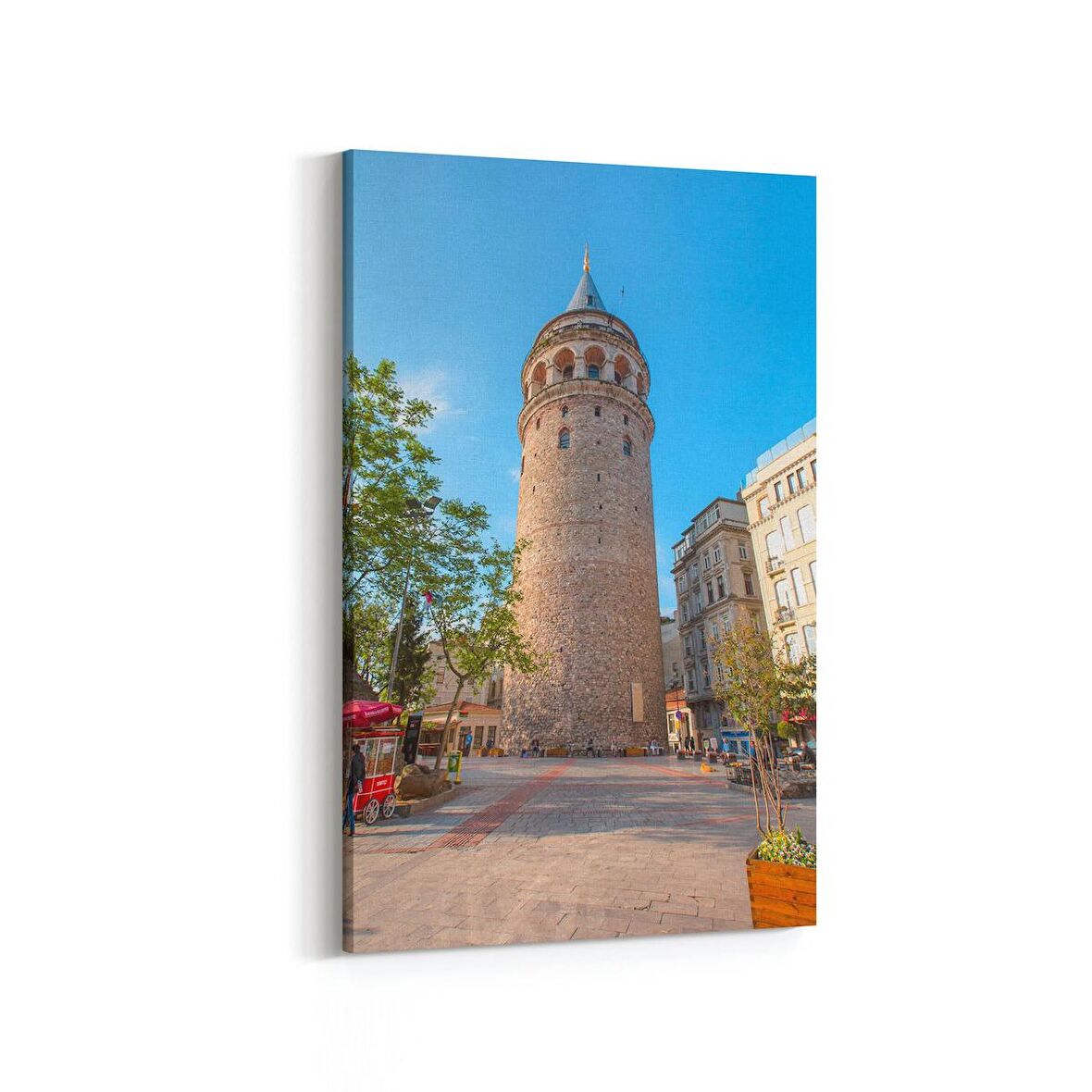 Olla 18691D Yapı Görseli Dikey Kanvas Tablo (Ölçü: 60X90)