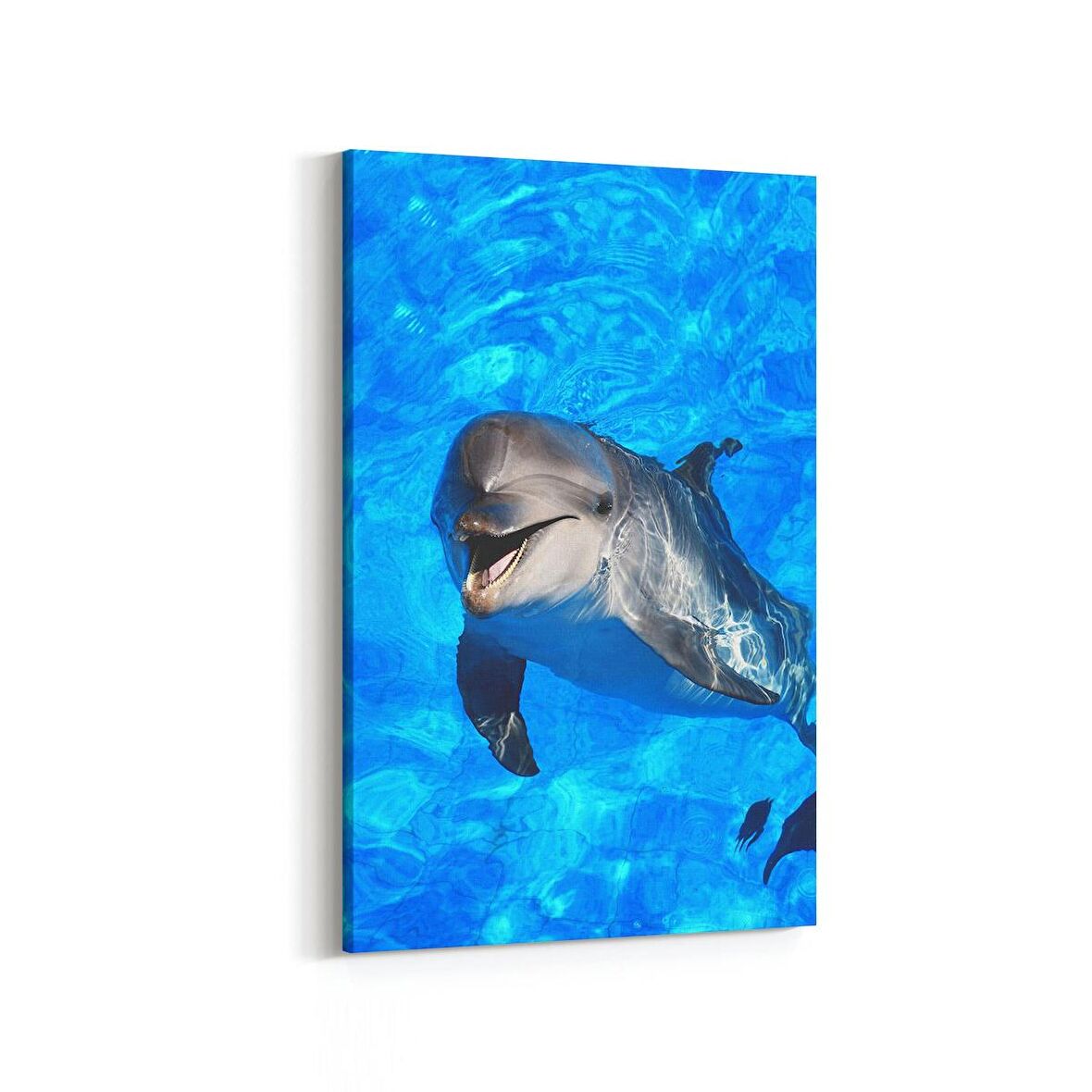 Olla 12993D Deniz / Okyanus Görseli Dikey Kanvas Tablo (Ölçü: 60X90)