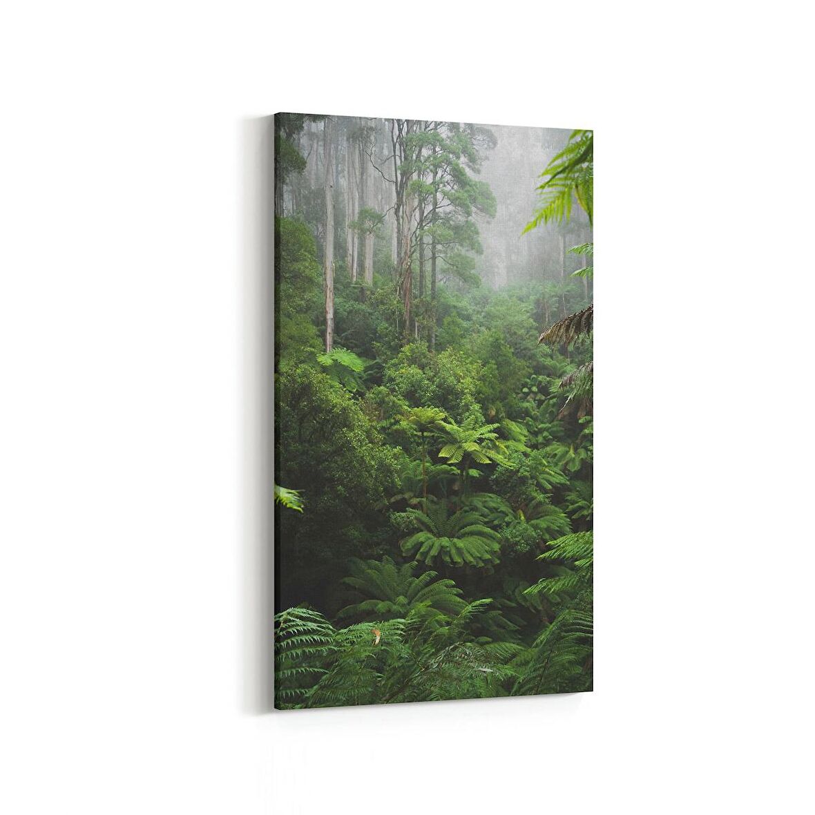 Olla 14309DD Doğa / Manzara Görseli Dikey Dar Kanvas Tablo (Ölçü: 30X60)