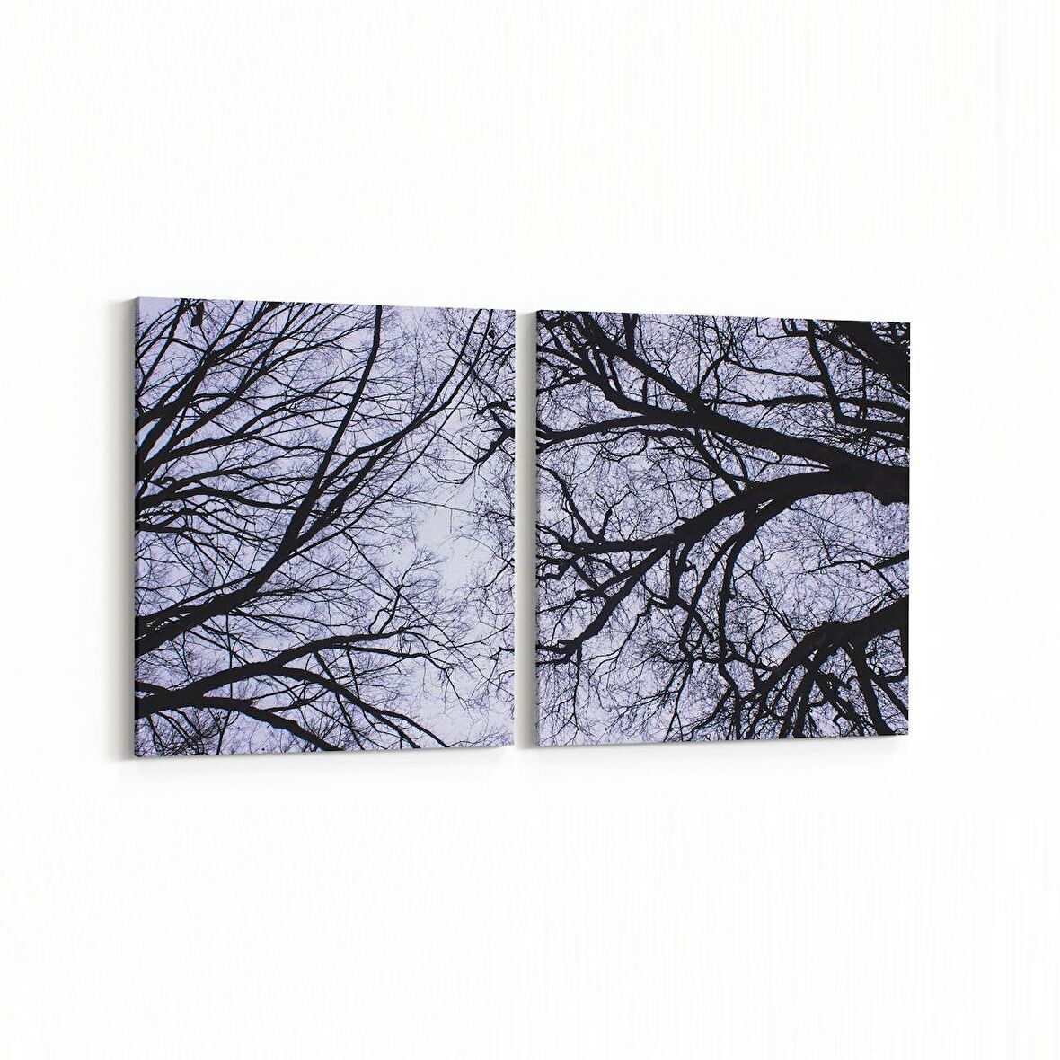 Olla 11022K2Y Ağaç Görseli Kare 2'li Yatay Kanvas Tablo (Ölçü: 65X30)
