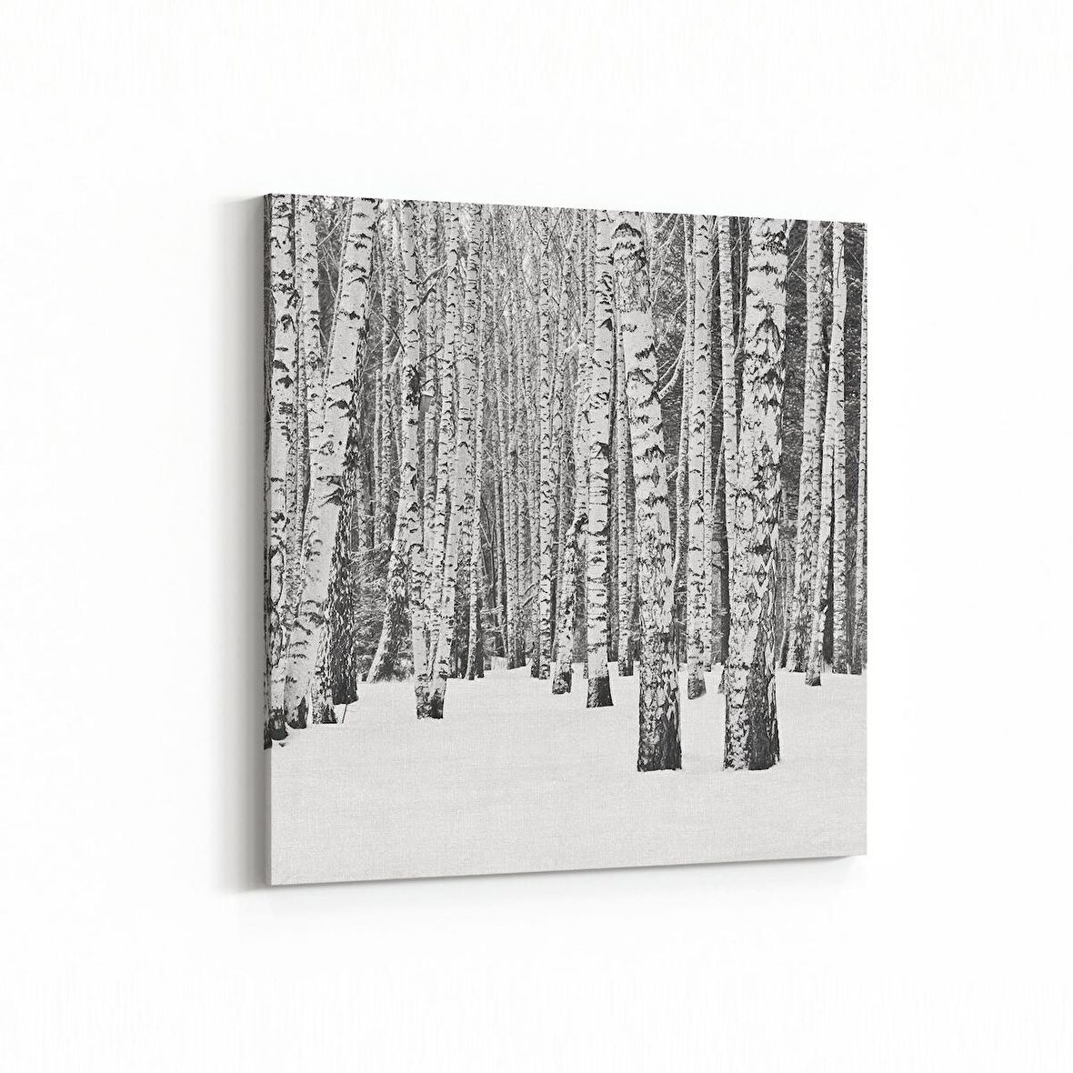 Olla 13317K Doğa / Manzara Görseli Kare Kanvas Tablo (Ölçü: 25X25)