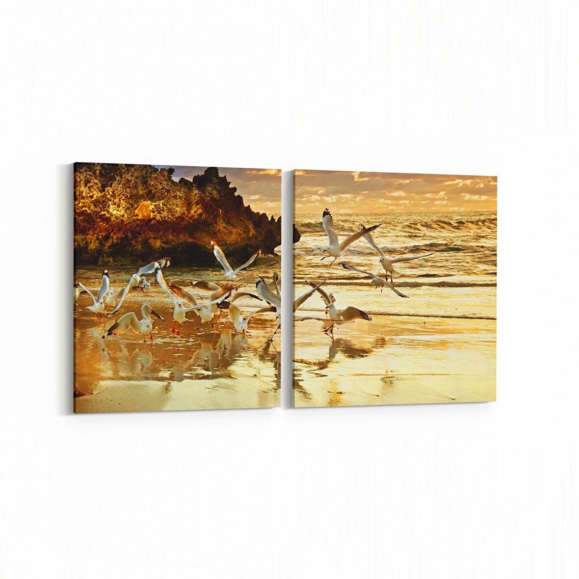 Olla 12474K2Y Hayvanlar Alemi Görseli Kare 2'li Yatay Kanvas Tablo (Ölçü: 85X40)