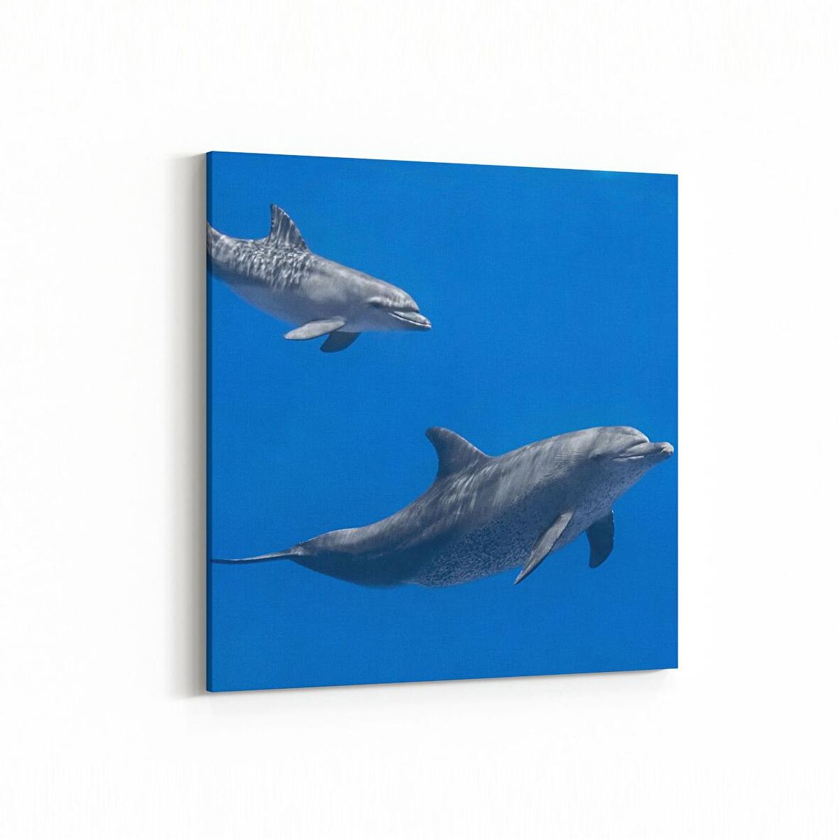 Olla 12951K Deniz / Okyanus Görseli Kare Kanvas Tablo (Ölçü: 25X25)