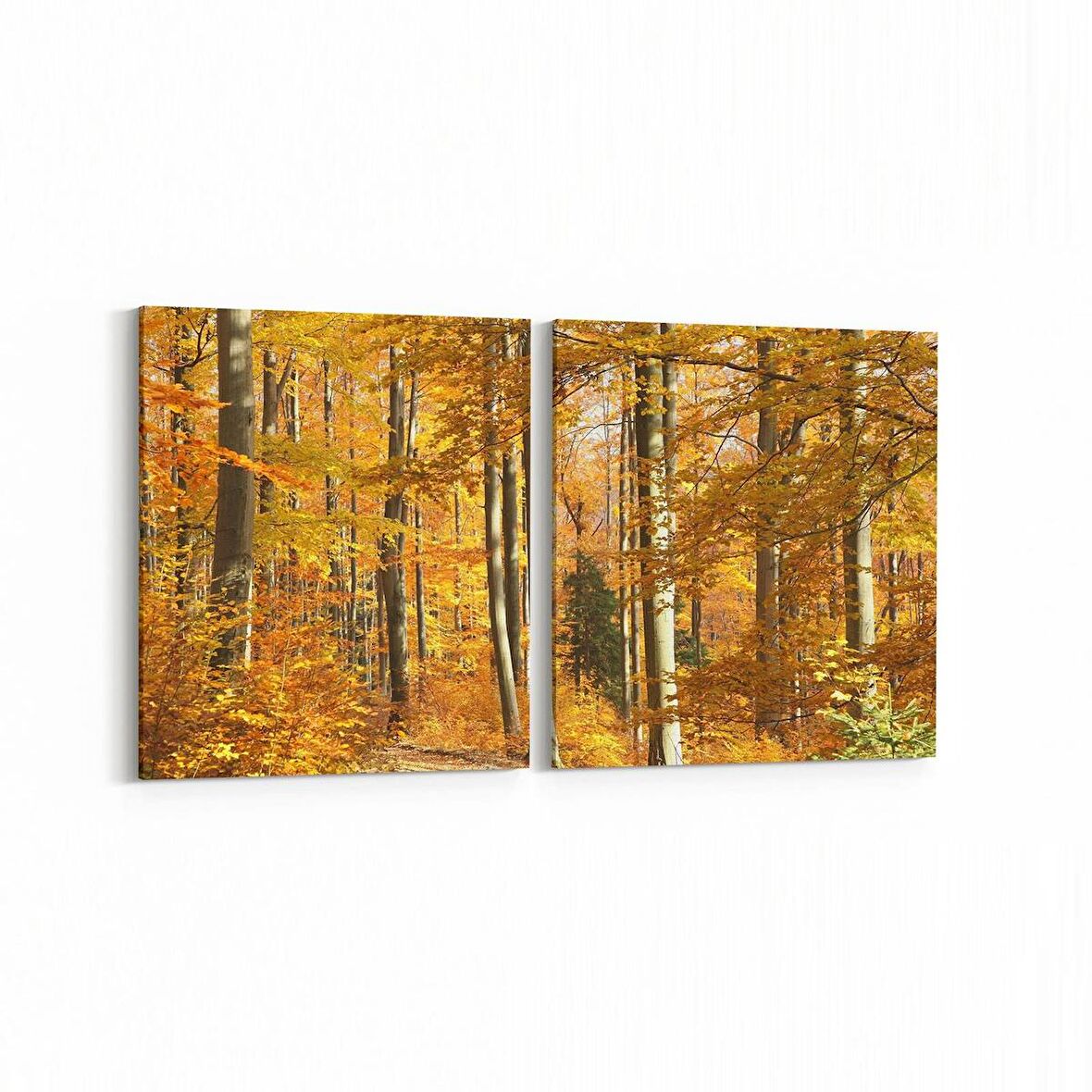 Olla 14576K2Y Doğa / Manzara Görseli Kare 2'li Yatay Kanvas Tablo (Ölçü: 145X70)