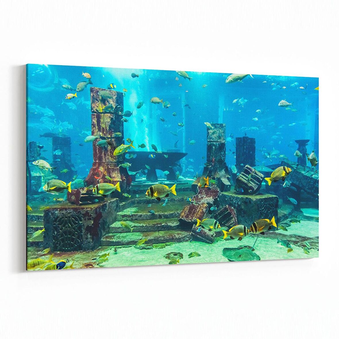 Olla 12114Y Akvaryum / Balık Görseli Yatay Kanvas Tablo (Ölçü: 45X30)