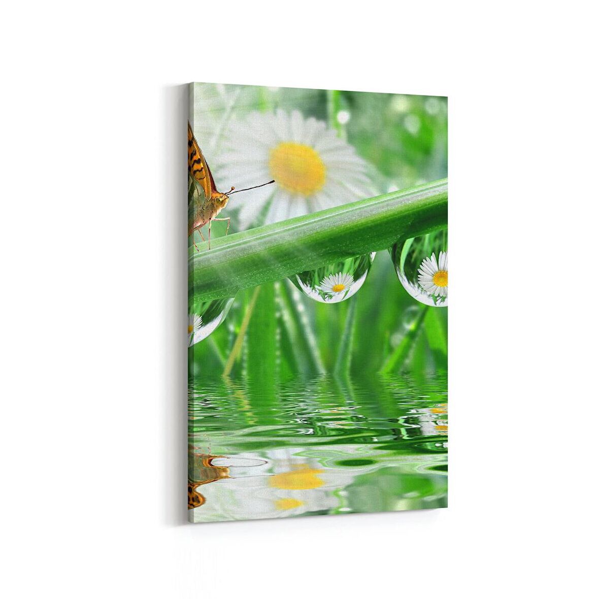 Olla 11757D Orkide Çiçek Görseli Dikey Kanvas Tablo (Ölçü: 100X150)