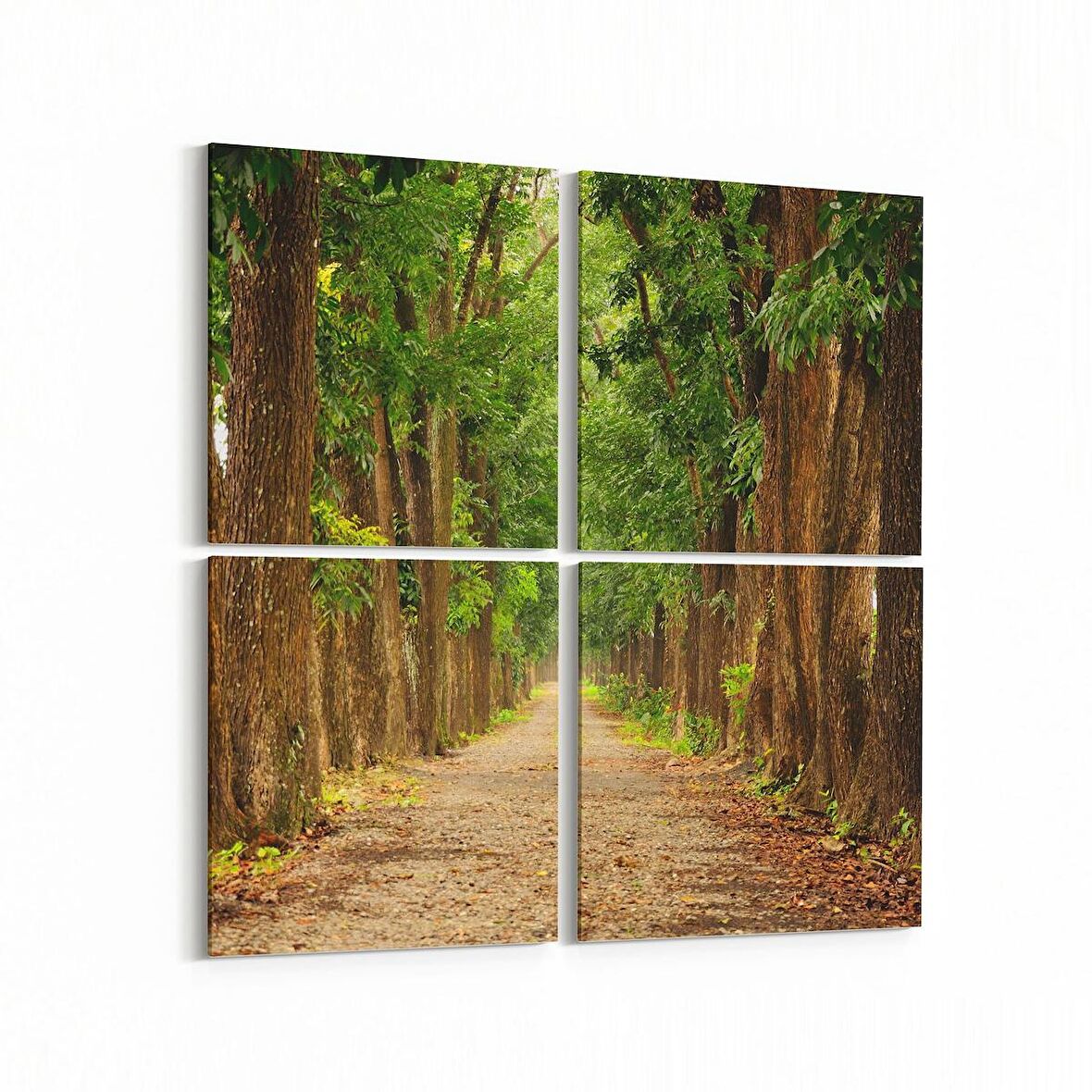 Olla 13350K4 Doğa / Manzara Görseli Kare 4'lü Kanvas Tablo (Ölçü: 65X65)