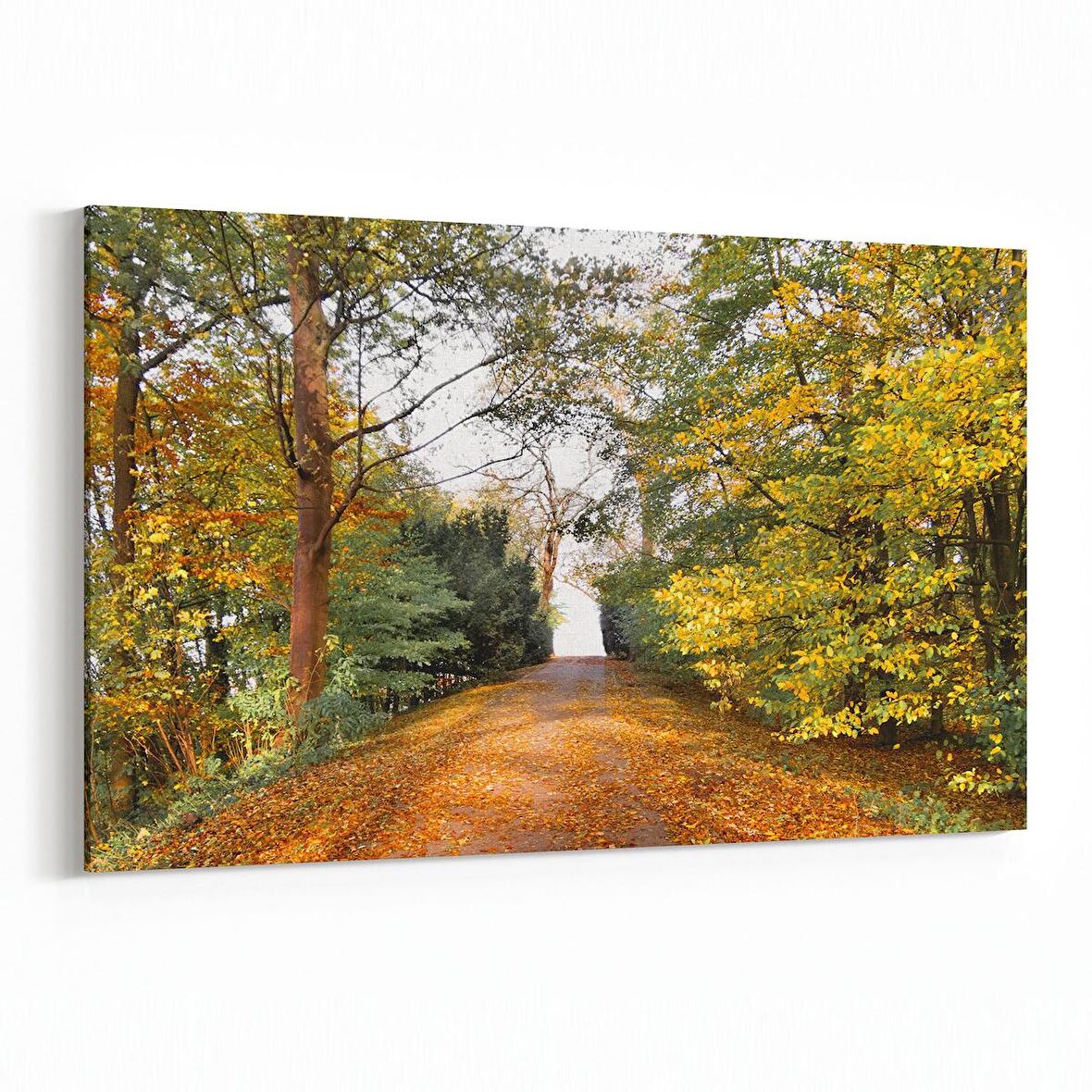 Olla 13273Y Doğa / Manzara Görseli Yatay Kanvas Tablo (Ölçü: 45X30)