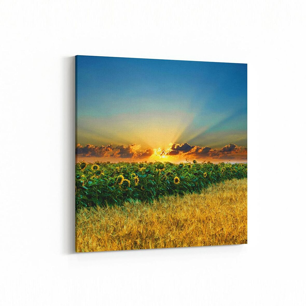 Olla 15978K Günbatımı Görseli Kare Kanvas Tablo (Ölçü: 25X25)