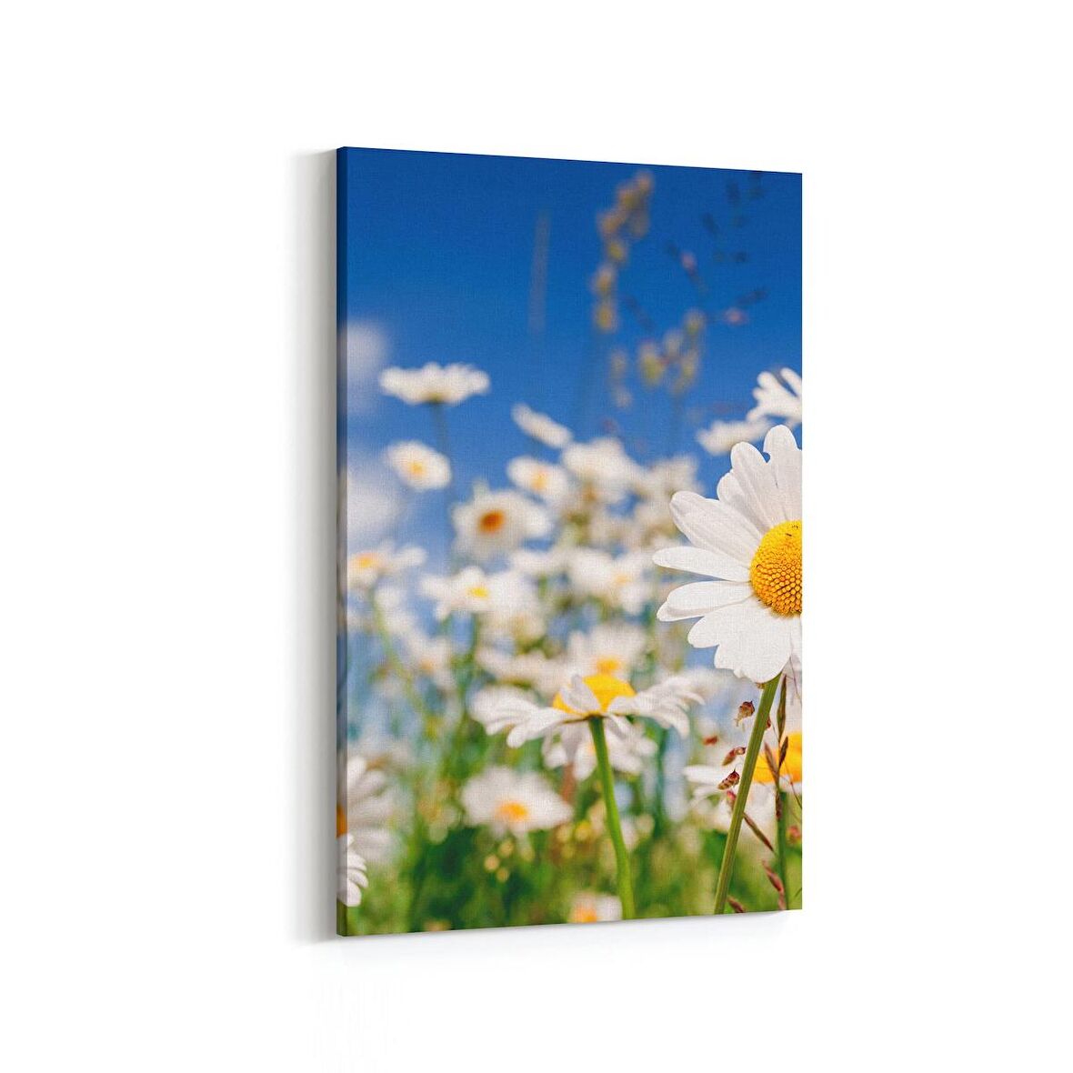 Olla 13544D Doğa / Manzara Görseli Dikey Kanvas Tablo (Ölçü: 100X150)