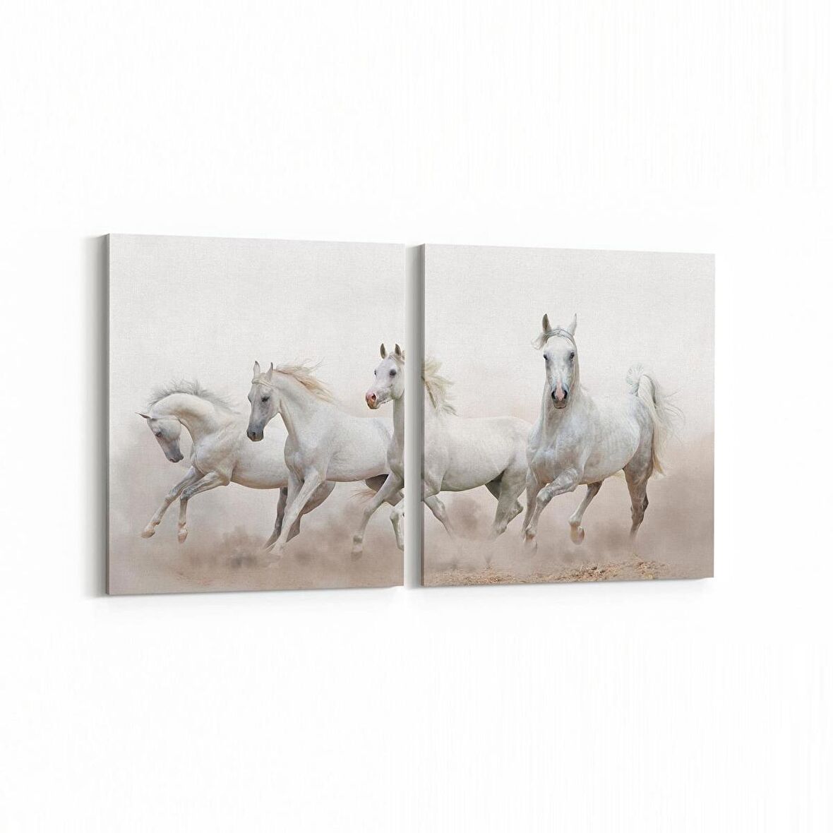 Olla 12638K2Y Hayvanlar Alemi Görseli Kare 2'li Yatay Kanvas Tablo (Ölçü: 85X40)