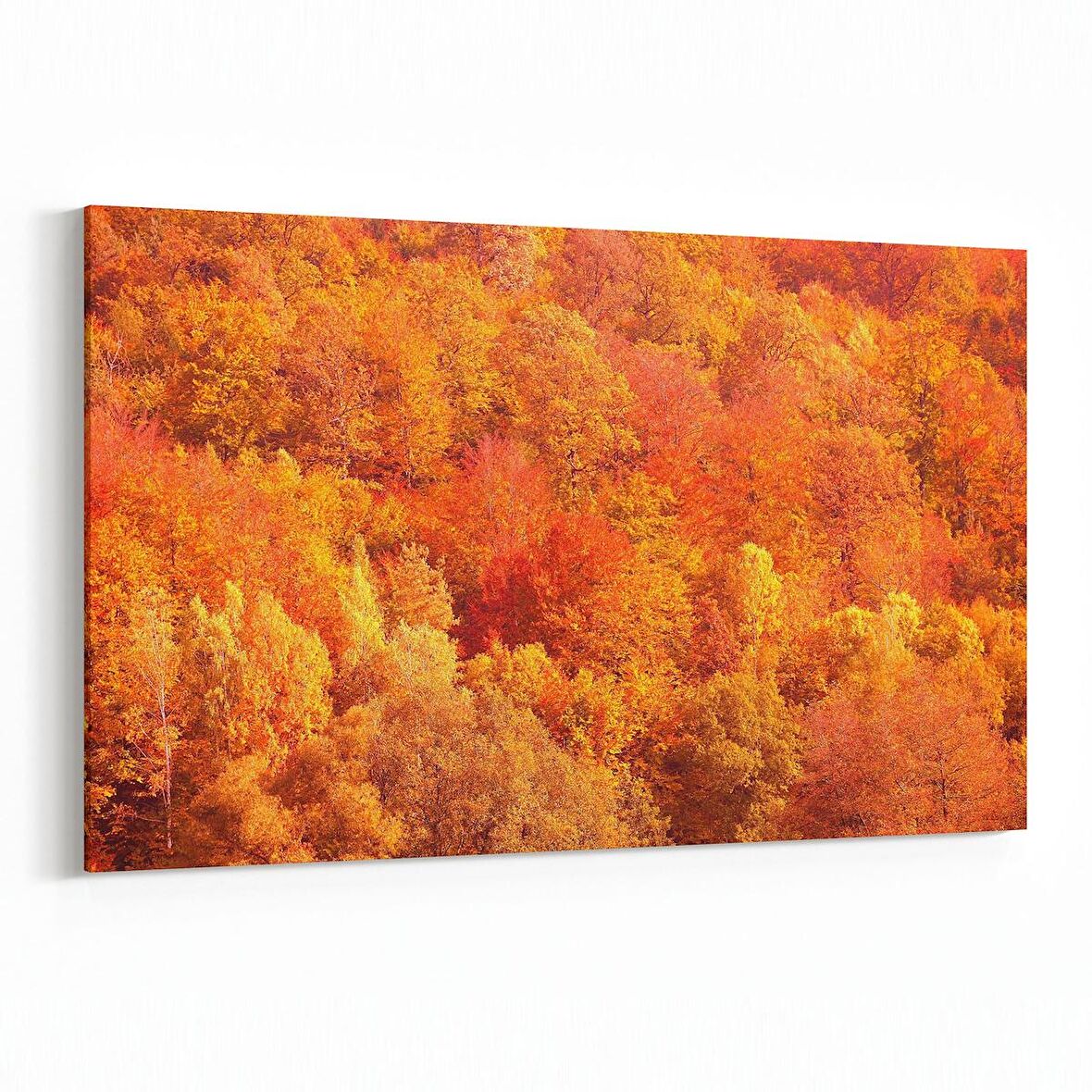 Olla 14303Y Doğa / Manzara Görseli Yatay Kanvas Tablo (Ölçü: 45X30)