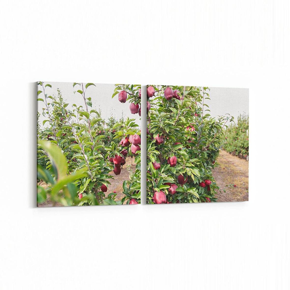 Olla 15079K2Y Gıda Görseli Kare 2'li Yatay Kanvas Tablo (Ölçü: 65X30)