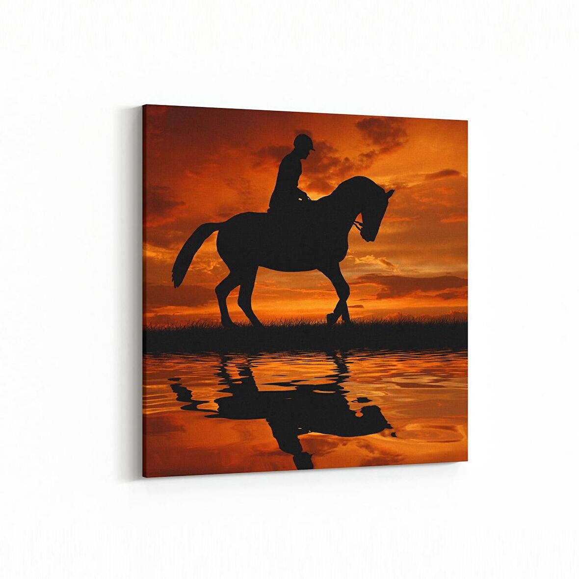 Olla 12495K Hayvanlar Alemi Görseli Kare Kanvas Tablo (Ölçü: 25X25)