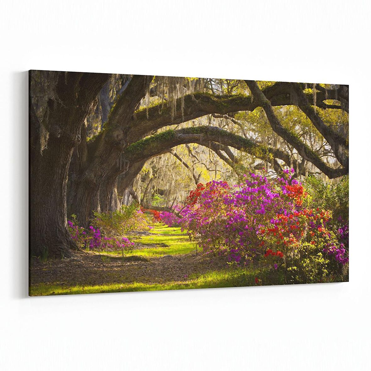 Olla 14629Y Doğa / Manzara Görseli Yatay Kanvas Tablo (Ölçü: 30X20)