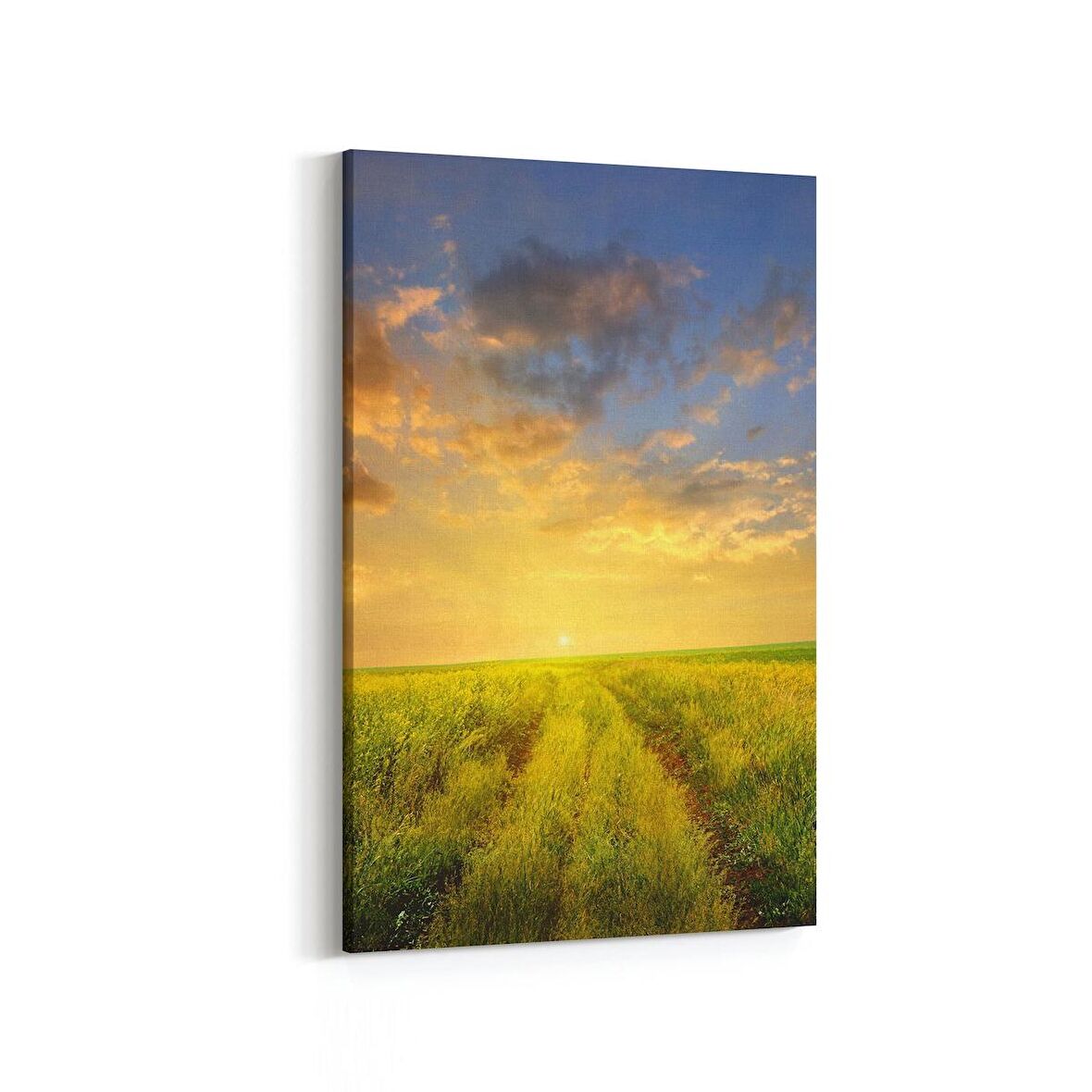Olla 16060D Günbatımı Görseli Dikey Kanvas Tablo (Ölçü: 60X90)
