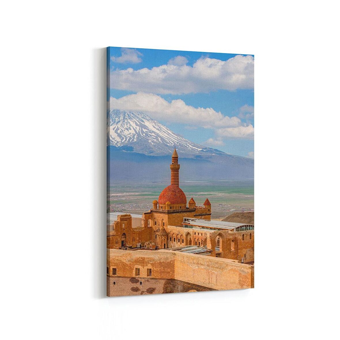 Olla 18529D Yapı Görseli Dikey Kanvas Tablo (Ölçü: 60X90)