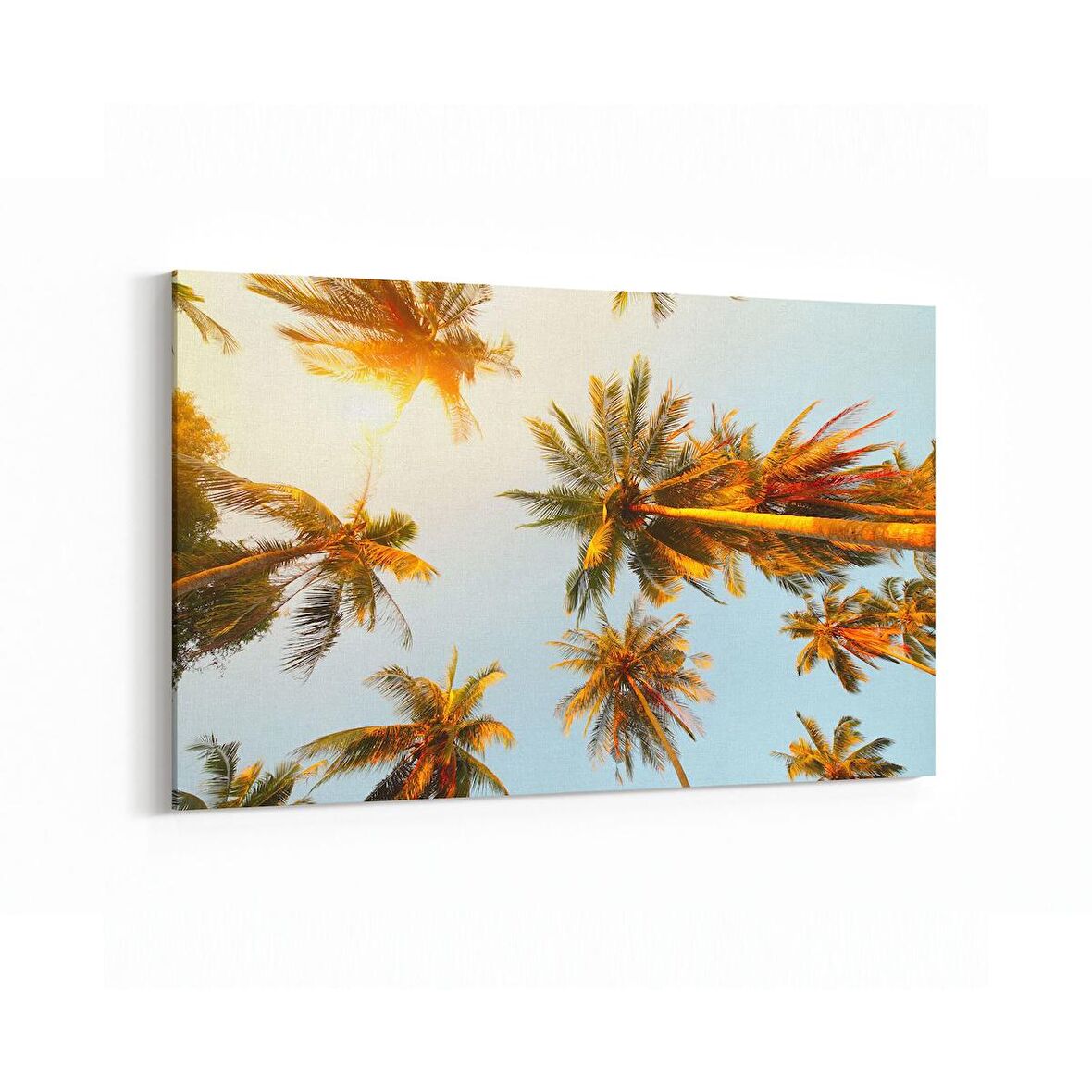 Olla 11545Y Palmiye Ağacı Görseli Yatay Kanvas Tablo (Ölçü: 120X80)