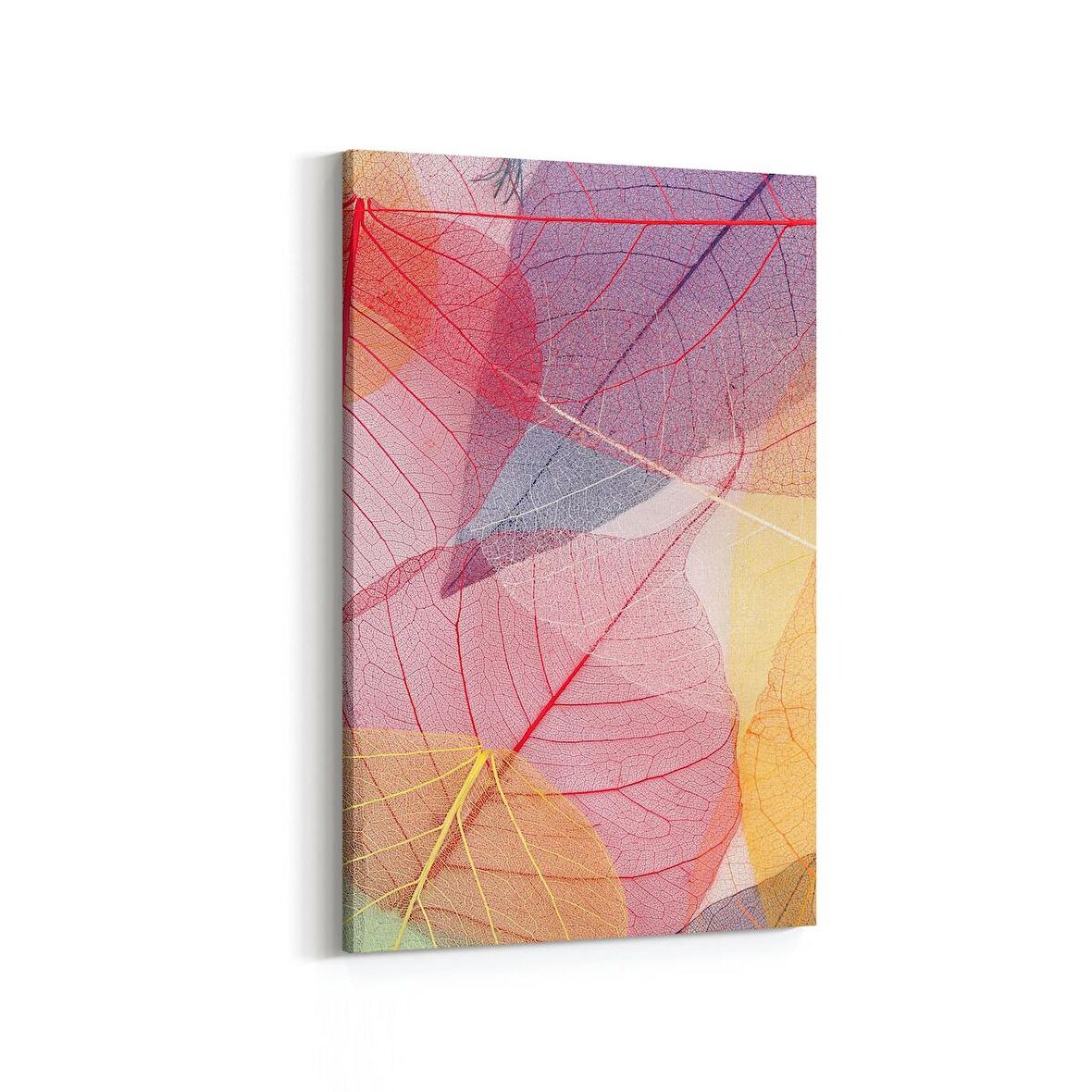 Olla 10355D Abstract Görsel Dikey Kanvas Tablo (Ölçü: 20X30)