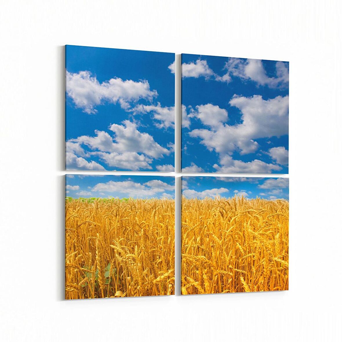 Olla 14105K4 Doğa / Manzara Görseli Kare 4'lü Kanvas Tablo (Ölçü: 145X145)