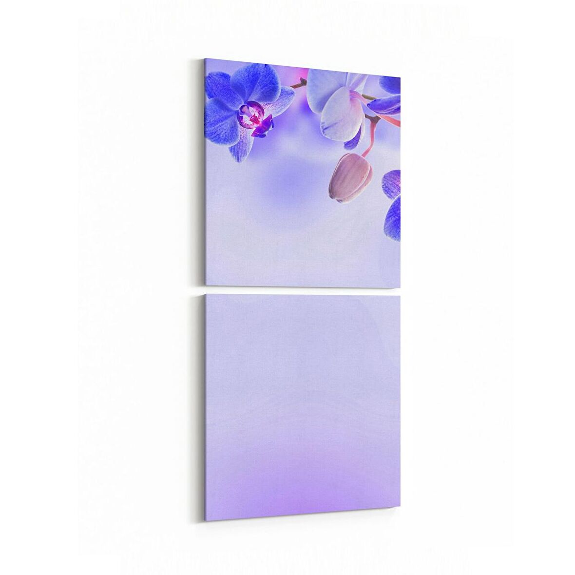 Olla 11689K2D Orkide Çiçek Görseli Kare 2'li Dikey Kanvas Tablo (Ölçü: 30X65)