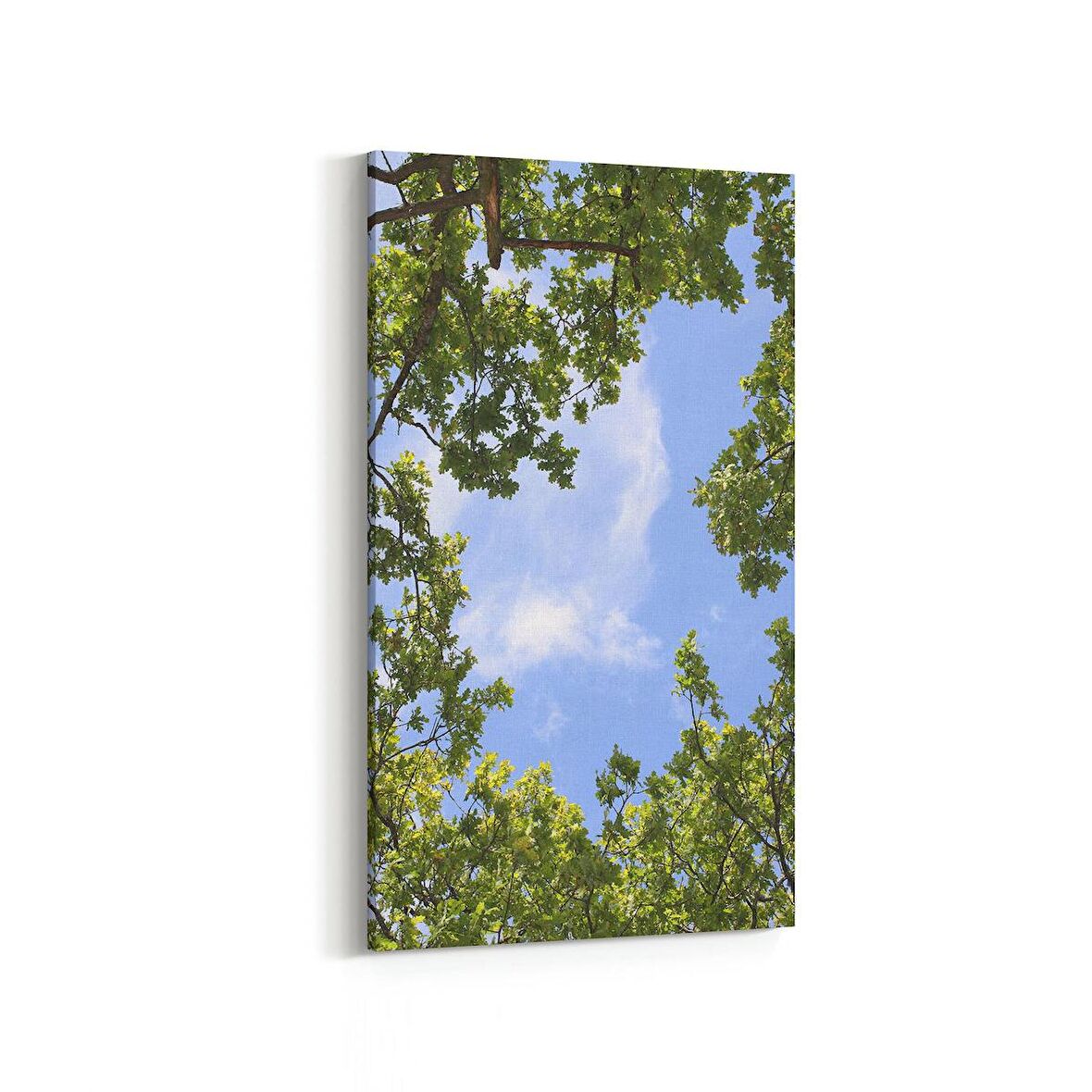 Olla 10816DD Ağaç Görseli Dikey Dar Kanvas Tablo (Ölçü: 30X60)