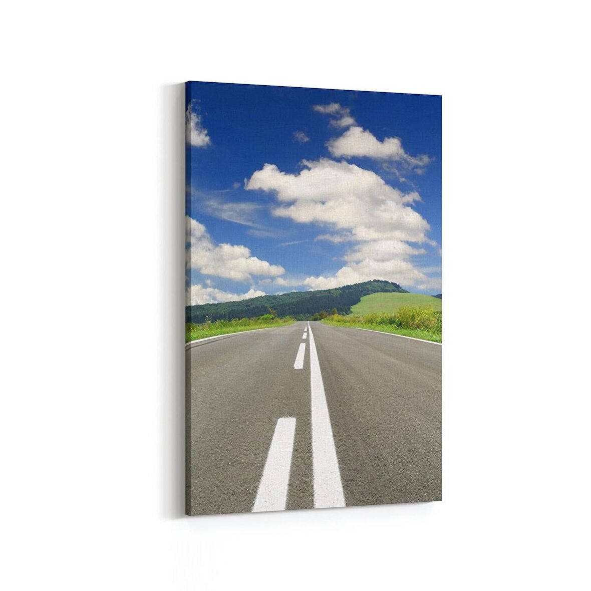 Olla 13702D Doğa / Manzara Görseli Dikey Kanvas Tablo (Ölçü: 100X150)