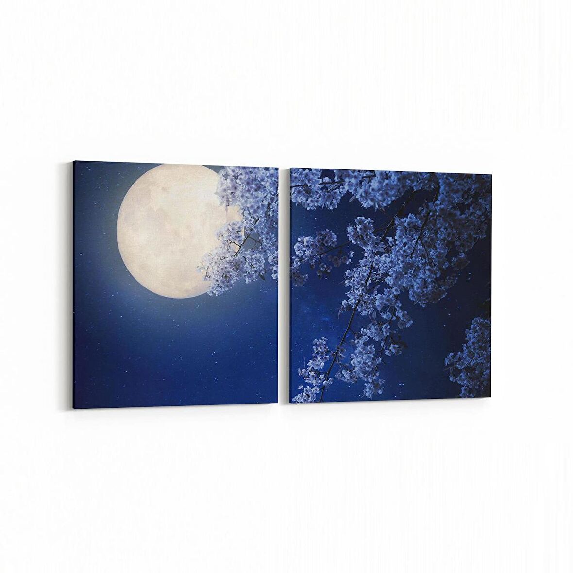 Olla 14767K2Y Gece Gökyüzü Görseli Kare 2'li Yatay Kanvas Tablo (Ölçü: 85X40)