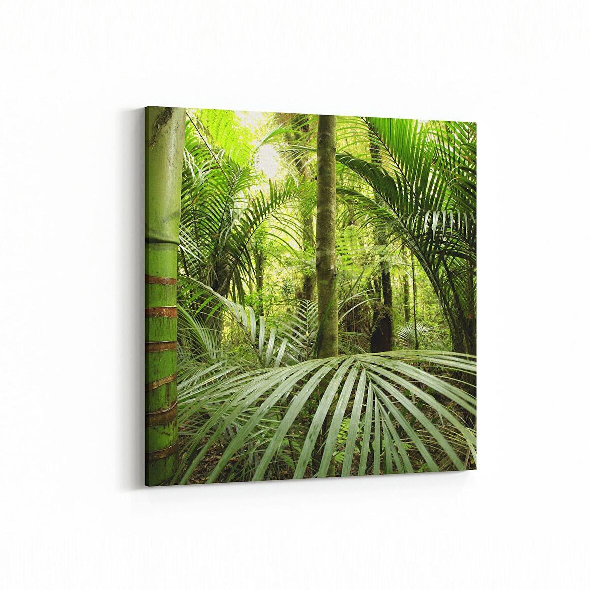 Olla 13524K Doğa / Manzara Görseli Kare Kanvas Tablo (Ölçü: 60X60)