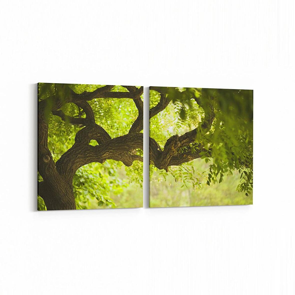 Olla 14049K2Y Doğa / Manzara Görseli Kare 2'li Yatay Kanvas Tablo (Ölçü: 145X70)