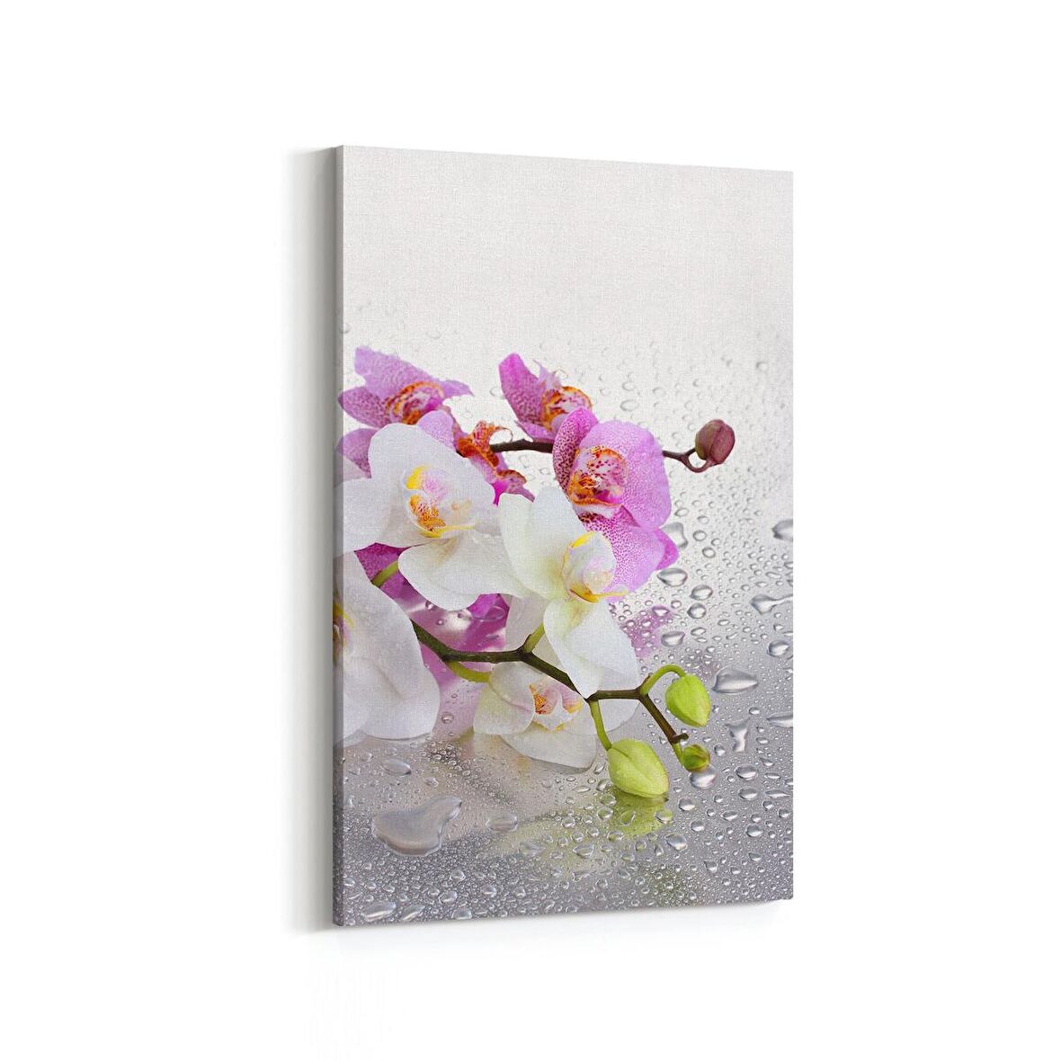 Olla 11664D Orkide Çiçek Görseli Dikey Kanvas Tablo (Ölçü: 100X150)