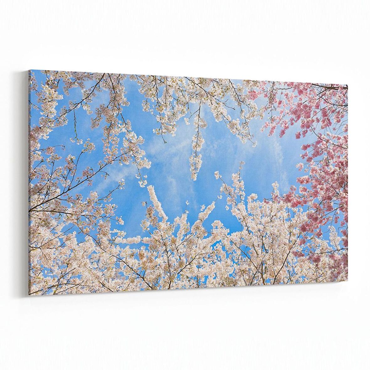 Olla 11010Y Ağaç Görseli Yatay Kanvas Tablo (Ölçü: 90X60)