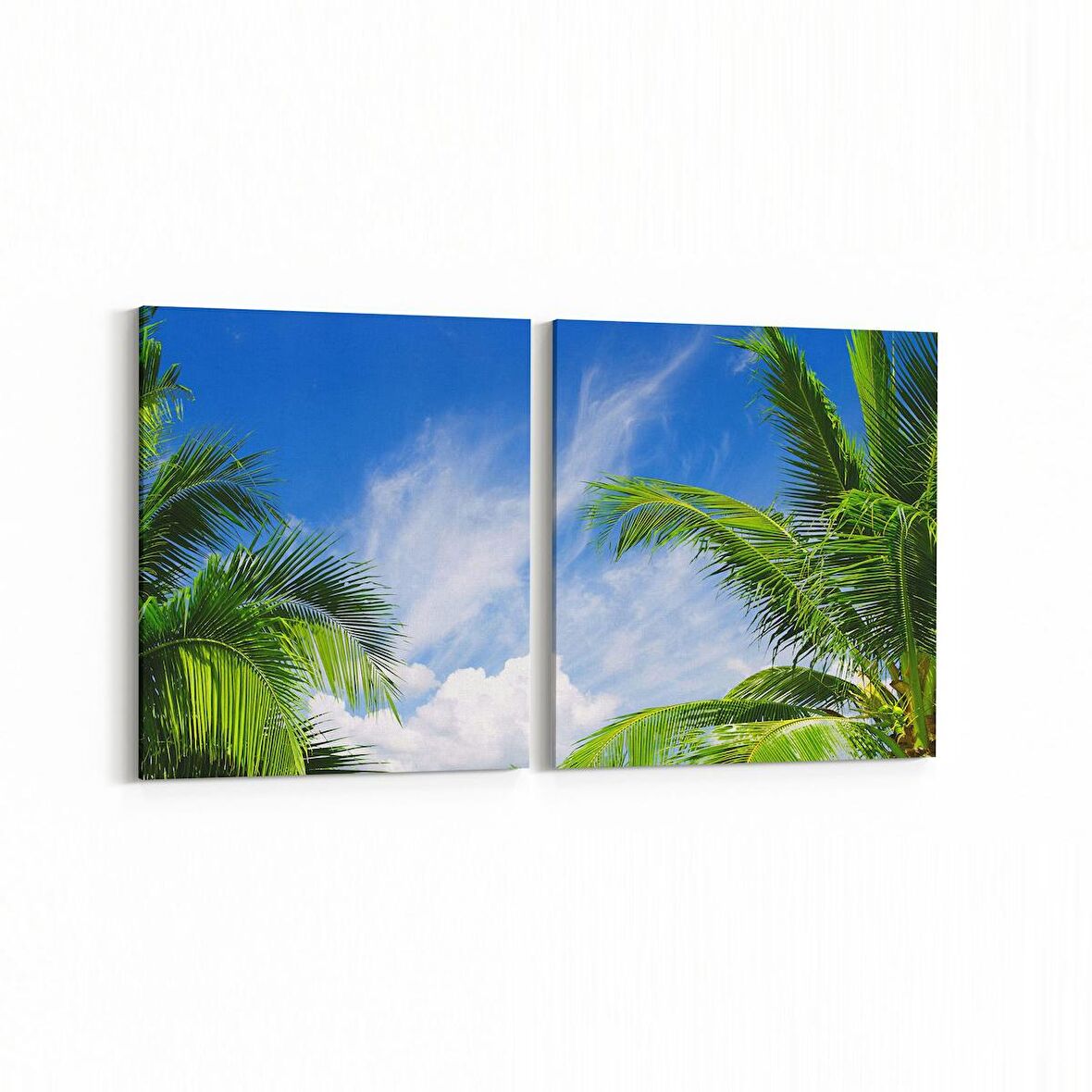 Olla 11515K2Y Palmiye Ağacı Görseli Kare 2'li Yatay Kanvas Tablo (Ölçü: 65X30)