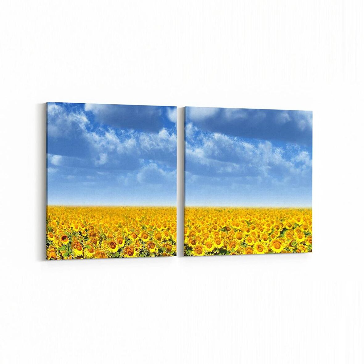 Olla 13933K2Y Doğa / Manzara Görseli Kare 2'li Yatay Kanvas Tablo (Ölçü: 85X40)