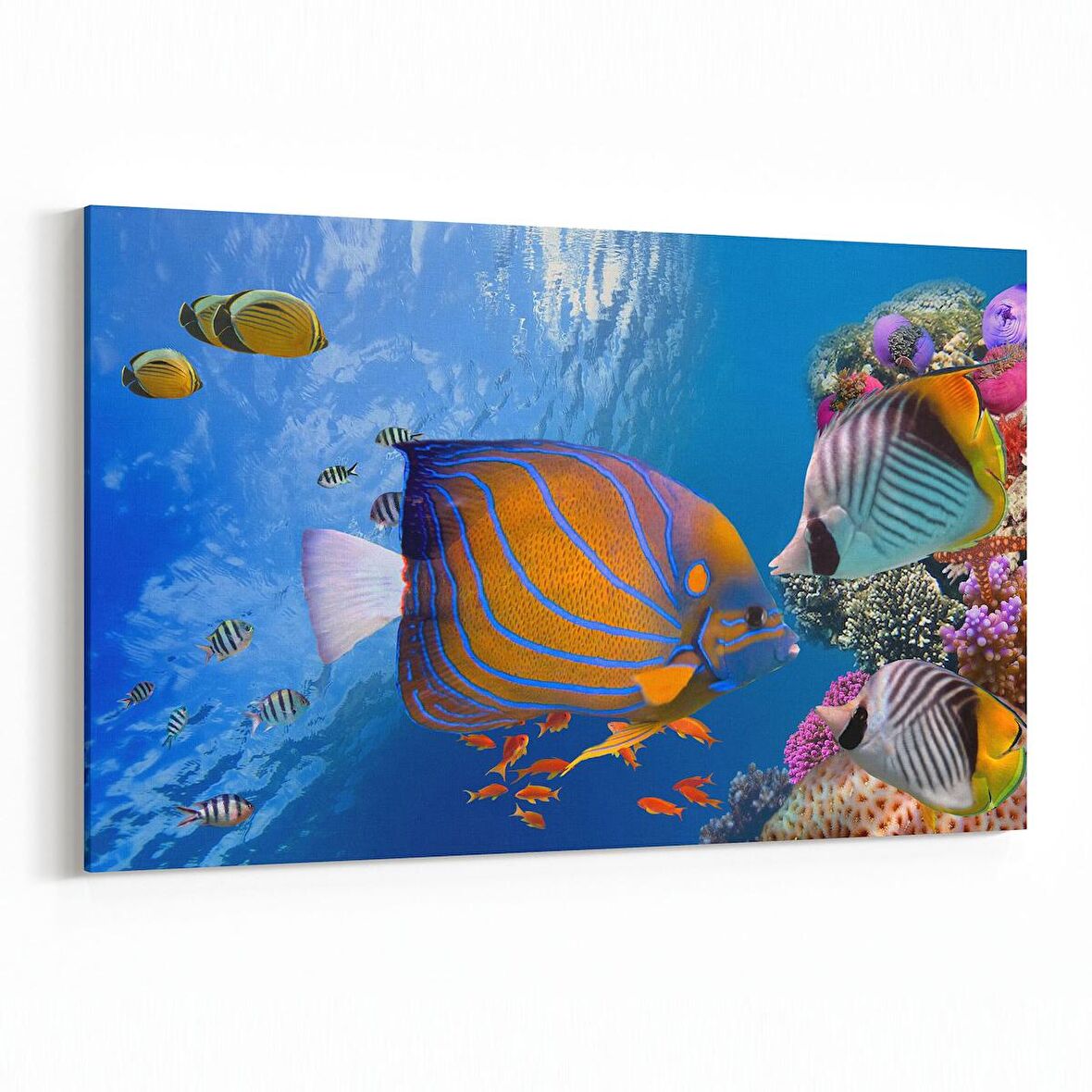 Olla 12153Y Akvaryum / Balık Görseli Yatay Kanvas Tablo (Ölçü: 70X50)