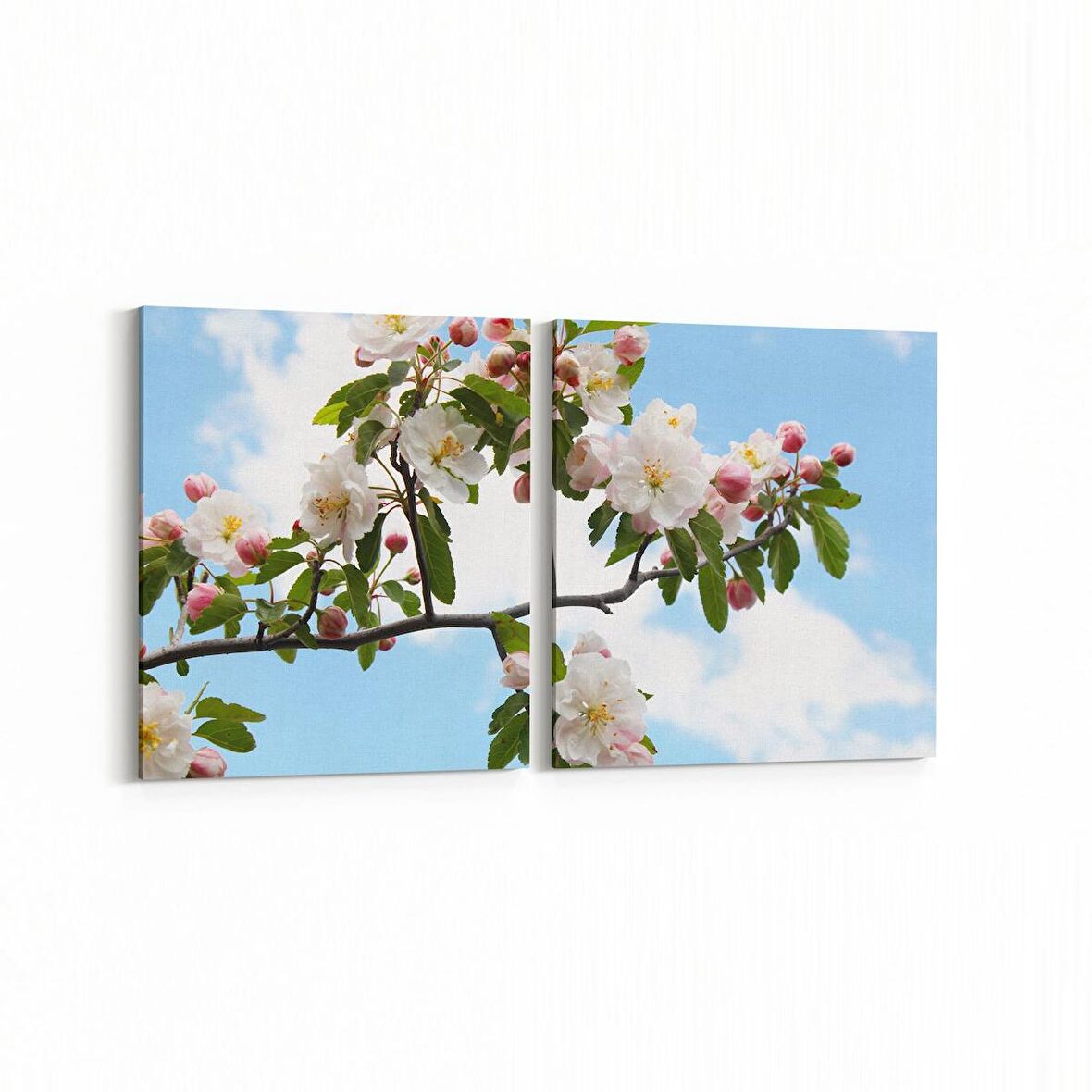 Olla 10966K2Y Ağaç Görseli Kare 2'li Yatay Kanvas Tablo (Ölçü: 65X30)