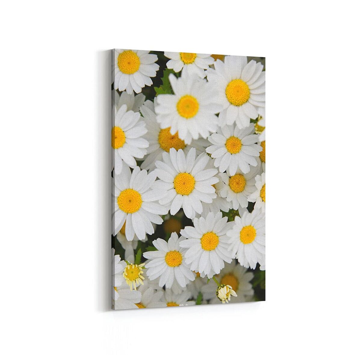 Olla 11630D Çiçek Görseli Dikey Kanvas Tablo (Ölçü: 100X150)