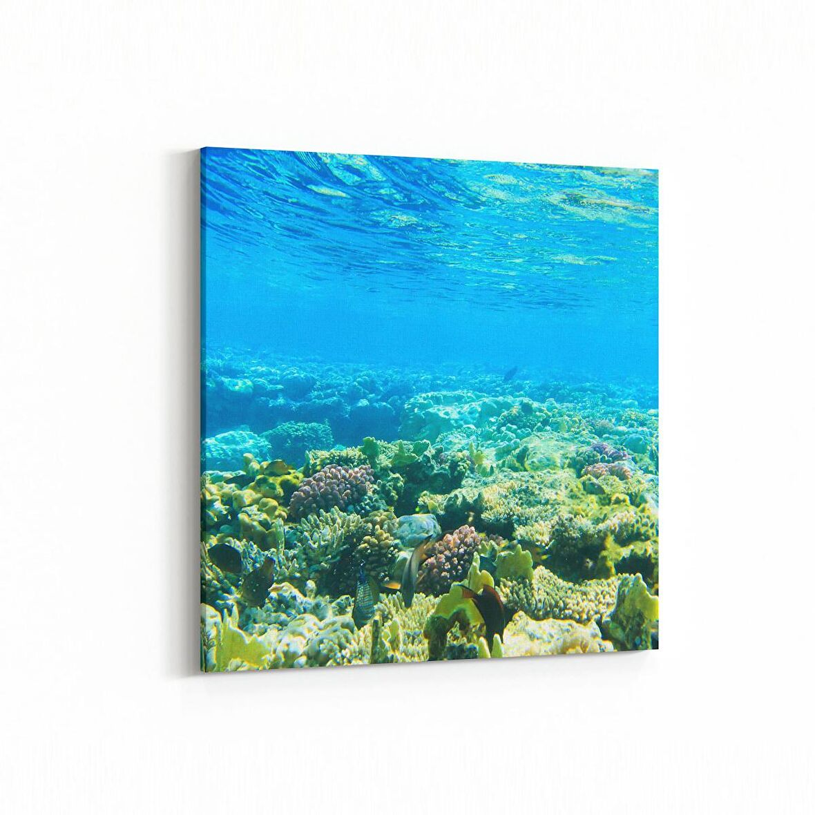 Olla 12935K Deniz / Okyanus Görseli Kare Kanvas Tablo (Ölçü: 60X60)