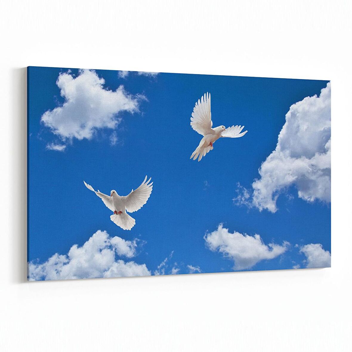 Olla 15836Y Gökyüzü Kuşlar Görseli Yatay Kanvas Tablo (Ölçü: 30X20)