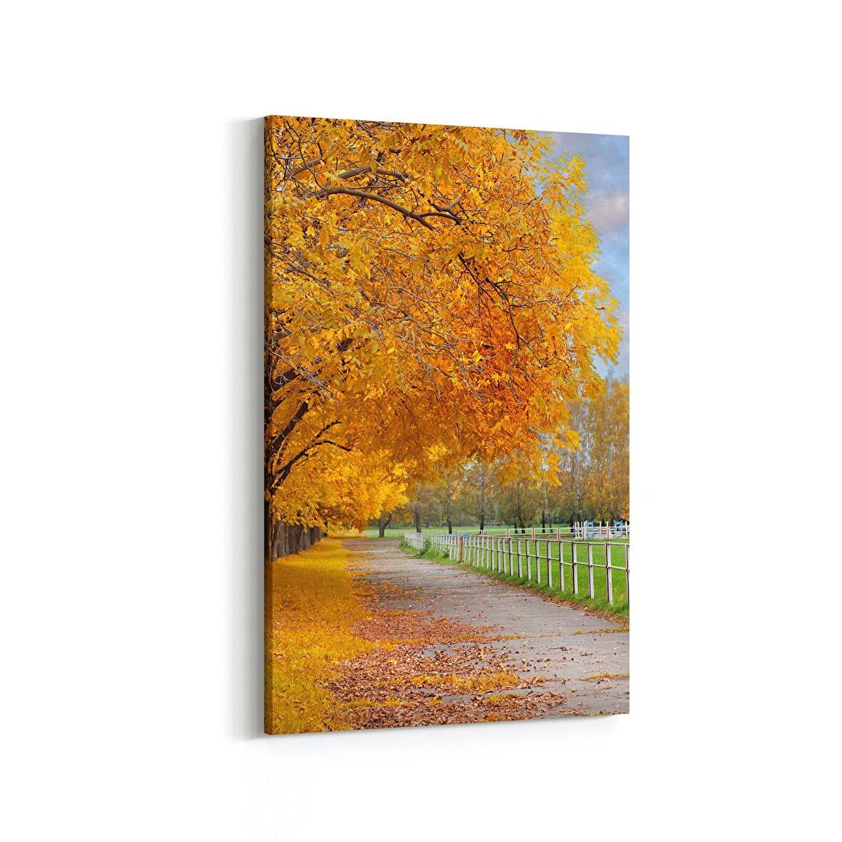 Olla 14413D Doğa / Manzara Görseli Dikey Kanvas Tablo (Ölçü: 100X150)