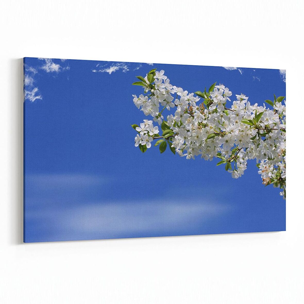 Olla 10780Y Ağaç Görseli Yatay Kanvas Tablo (Ölçü: 90X60)