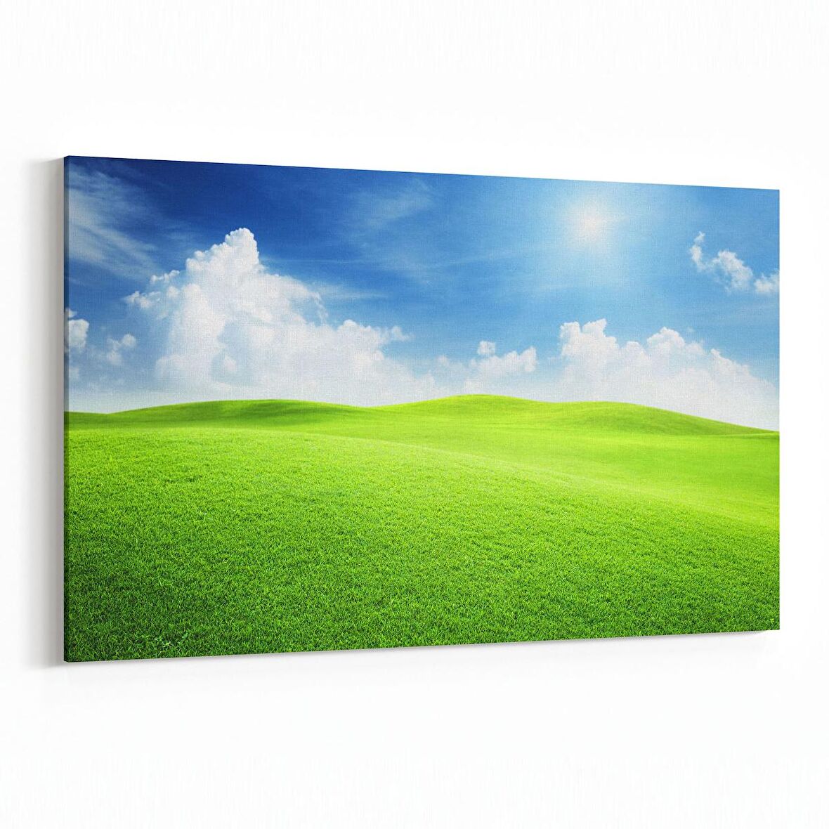 Olla 14359Y Doğa / Manzara Görseli Yatay Kanvas Tablo (Ölçü: 150X100)