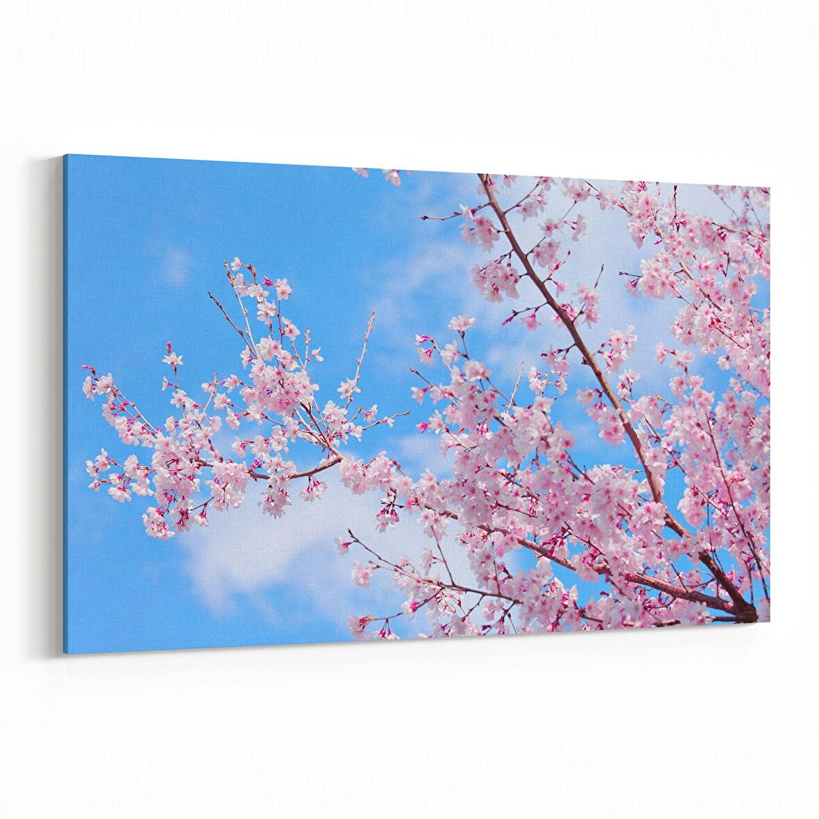 Olla 10657Y Ağaç Görseli Yatay Kanvas Tablo (Ölçü: 90X60)