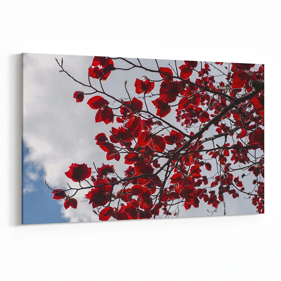 Olla 11021Y Ağaç Görseli Yatay Kanvas Tablo (Ölçü: 90X60)