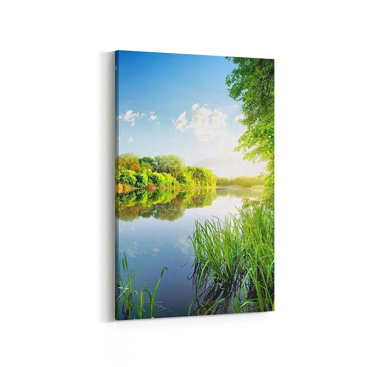 Olla 13844D Doğa / Manzara Görseli Dikey Kanvas Tablo (Ölçü: 60X90)