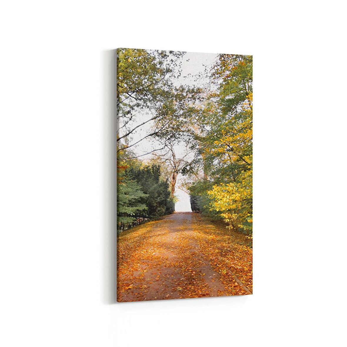 Olla 13273DD Doğa / Manzara Görseli Dikey Dar Kanvas Tablo (Ölçü: 40X80)