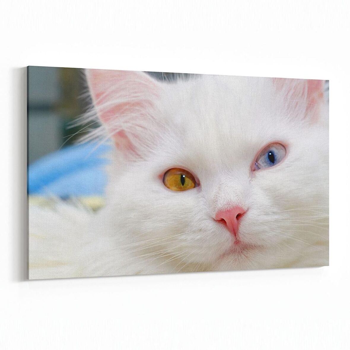 Olla 12636Y Hayvanlar Alemi Görseli Yatay Kanvas Tablo (Ölçü: 120X80)