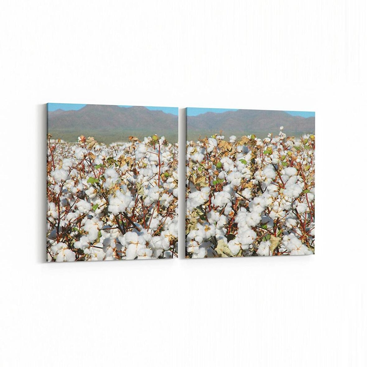 Olla 13562K2Y Doğa / Manzara Görseli Kare 2'li Yatay Kanvas Tablo (Ölçü: 145X70)